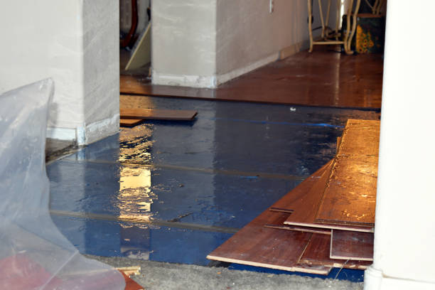 Professional Flood Cleanup technician working in Saint Helen, MI